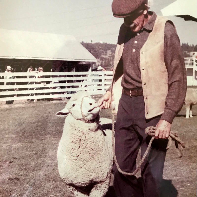 Revival of The Original Technical Fiber