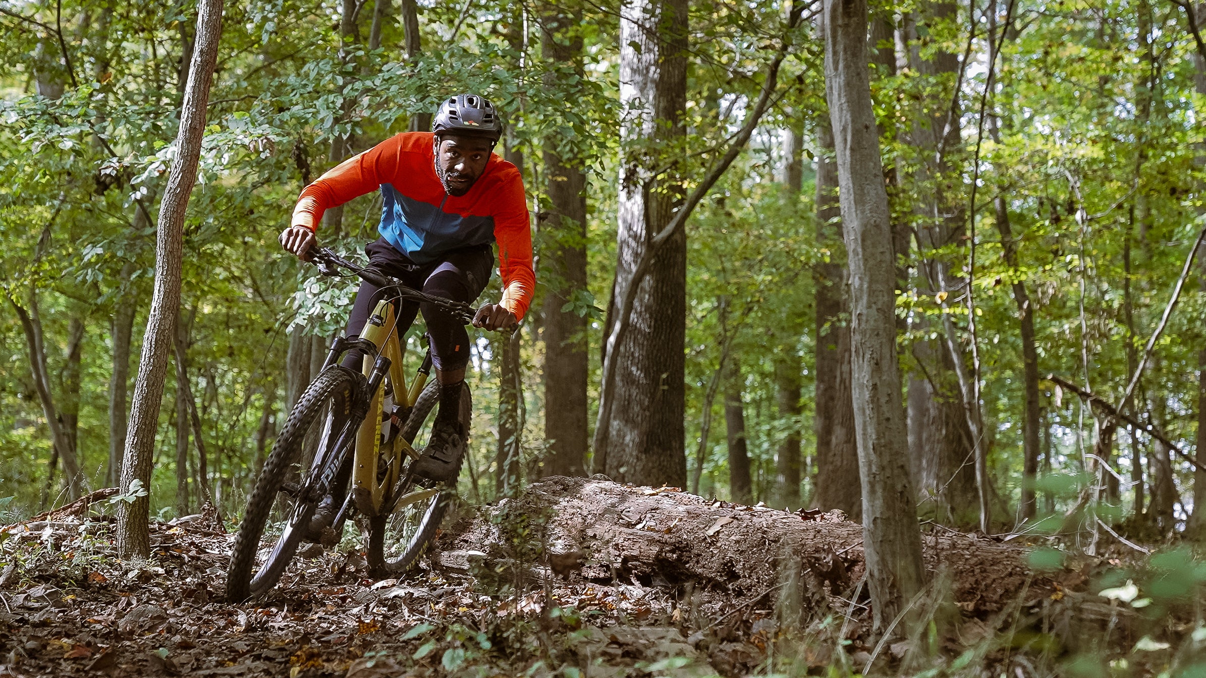 All Four Seasons on All the Bikes