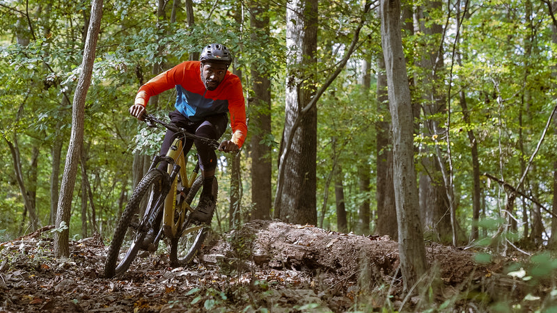 All Four Seasons on All the Bikes