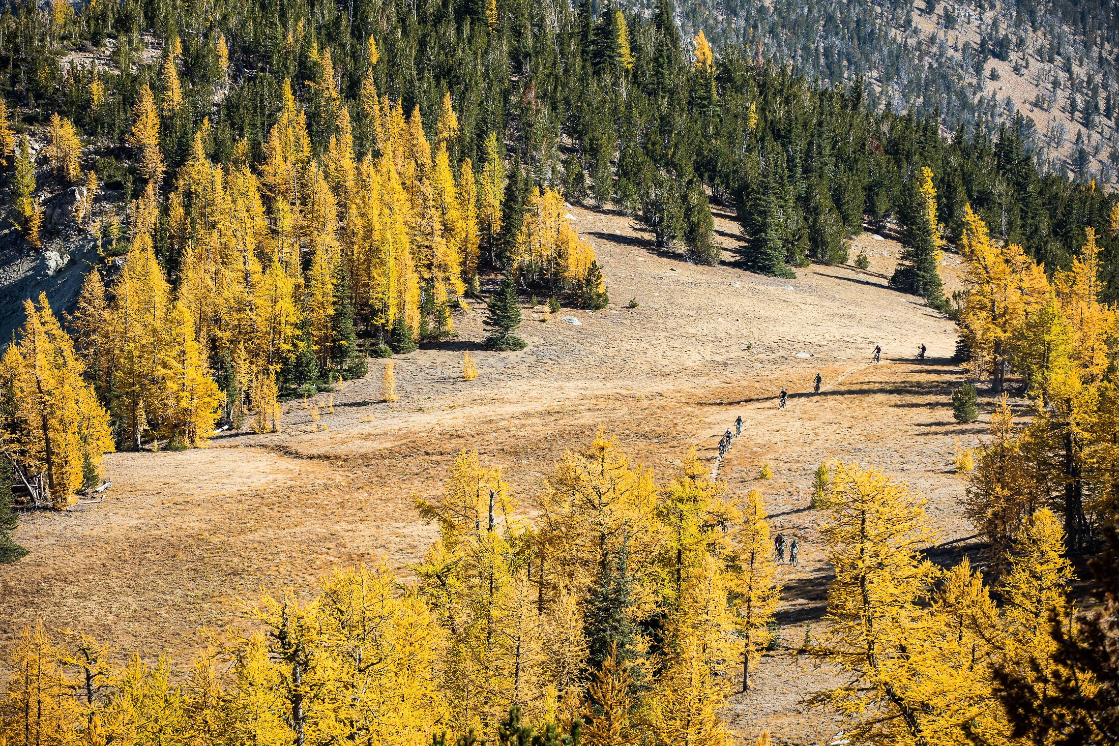 SIGHT LINES PT. 2: Through the Lens at Trans-Cascadia