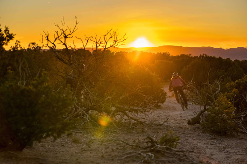 Best Destinations for Riding Bikes: Tucson, AZ