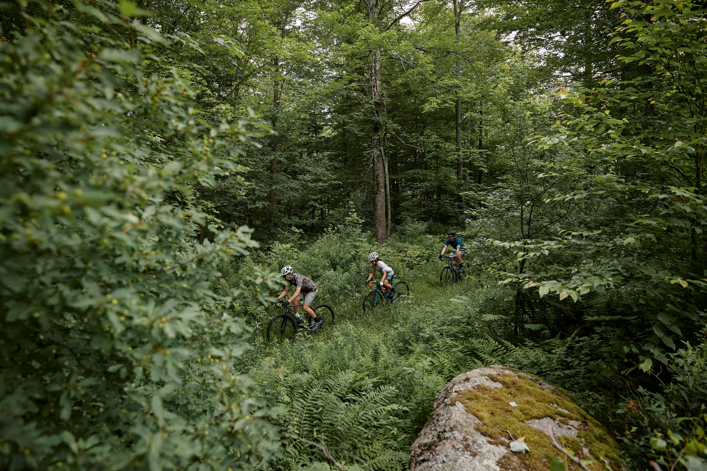 How To: A Beginner's Guide to Bikepacking