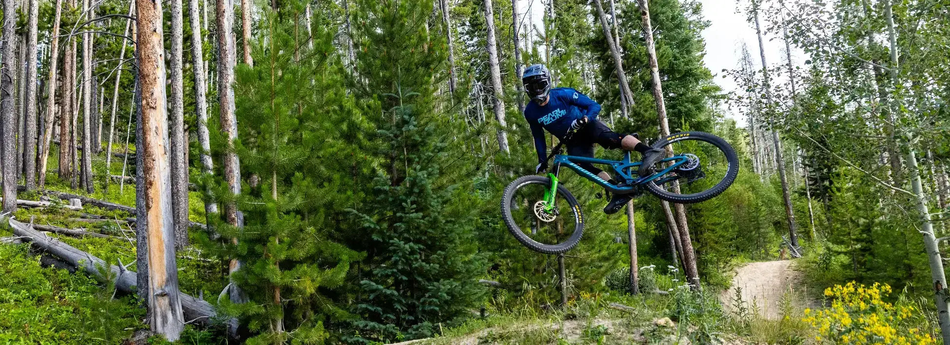 Elevate Mountain Bike Collection