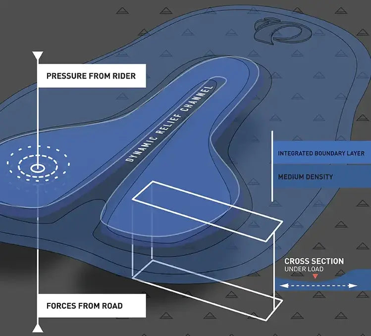 Infographic for SELECT Levitate Chamois